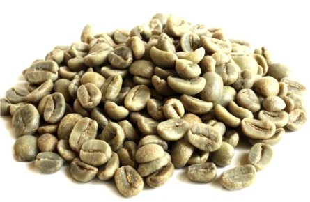 Arabica Coffee bean - Image 2