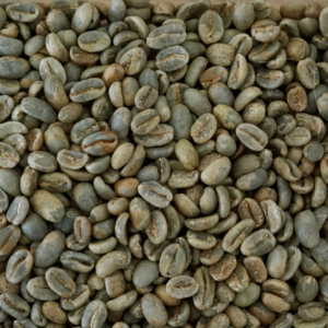 Arabica Coffee bean